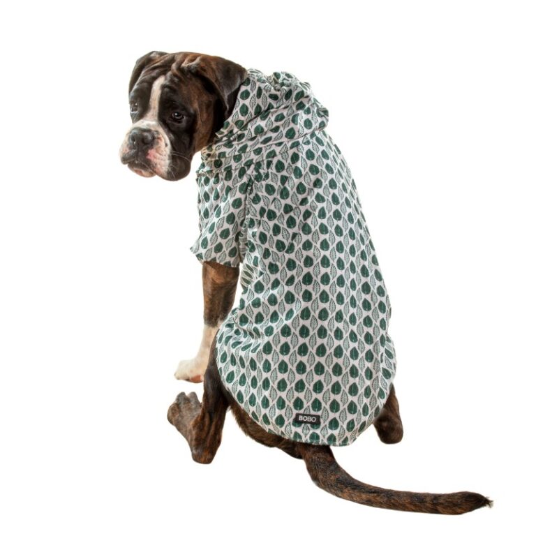 בובו מעיל גשם עלים XXL