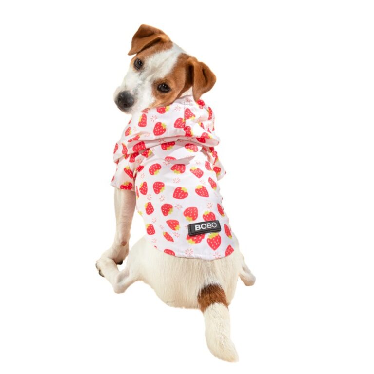 בובו מעיל גשם תותים XS