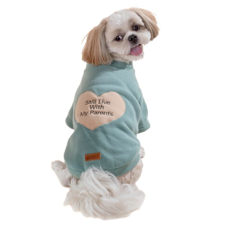 בובו סוויטשירט מנטה M