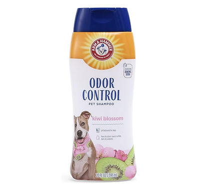 ארם אנד האמר שמפו מרענן בניחוח קיווי