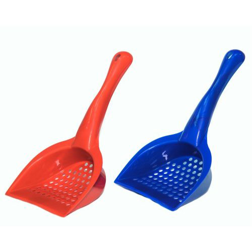 קמון כף לחול פסים 1 יחידות