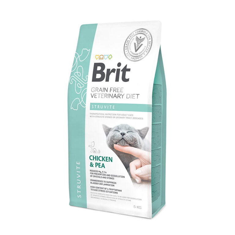 בריט סטרוויט לחתול