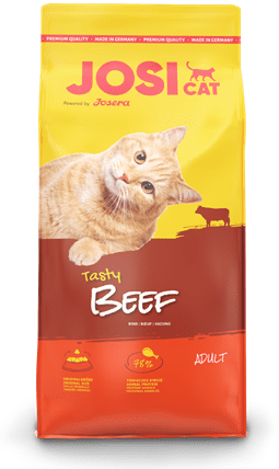 גוסי קט בקר