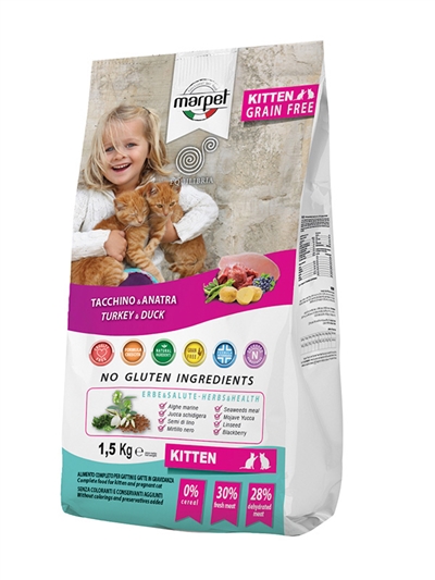 אקוליבריה קיטן הודו וברווז גור חתולים