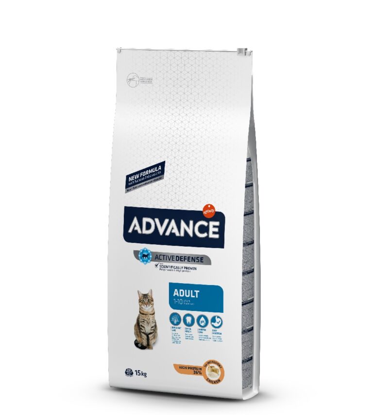 אדוונס אדולט עוף חתול