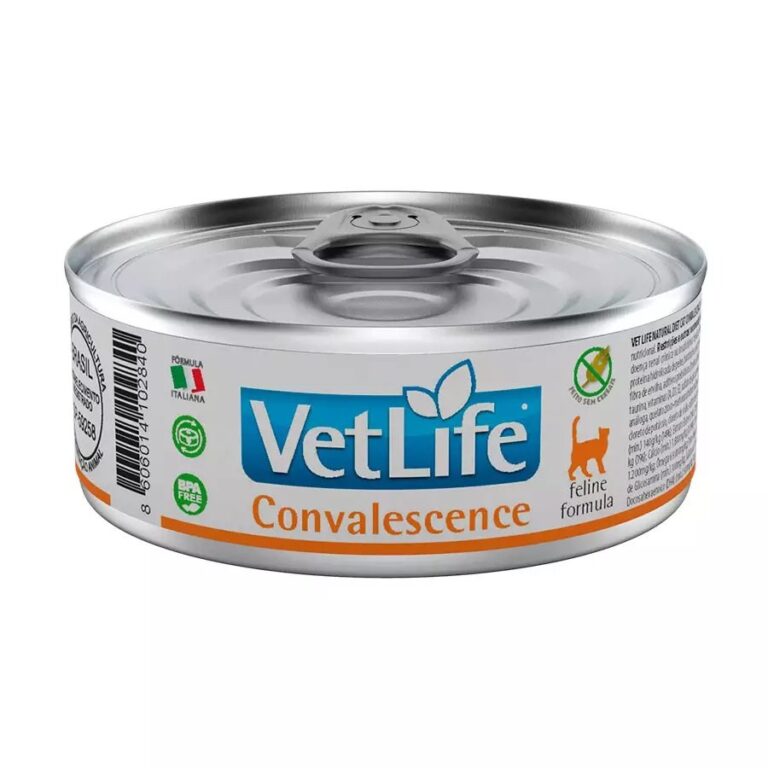 ווטלייף שימור קונבלסנס|שיקום| לחתול