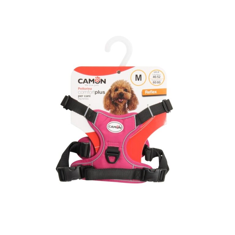 קמון רתמת קומפוקט פלוס L