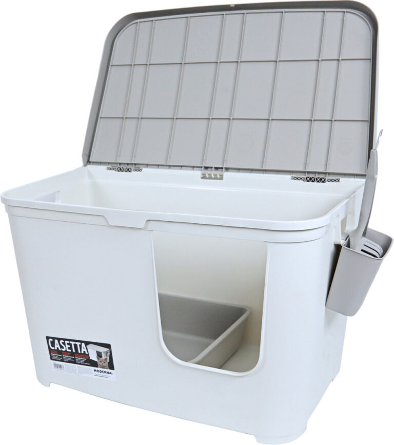 שירותים לחתול גדול מודרנה