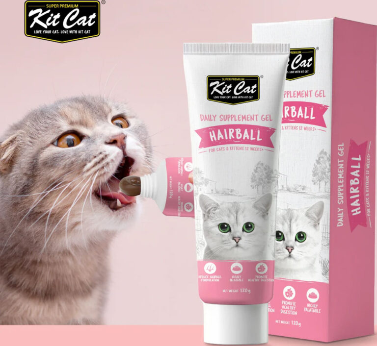 קיט קט ג'ל היירבול 120 גרם