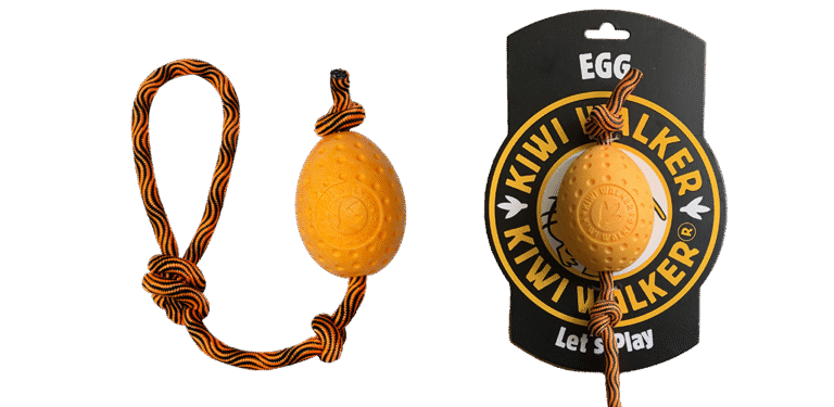 קיווי צעצוע ביצה עם חבל