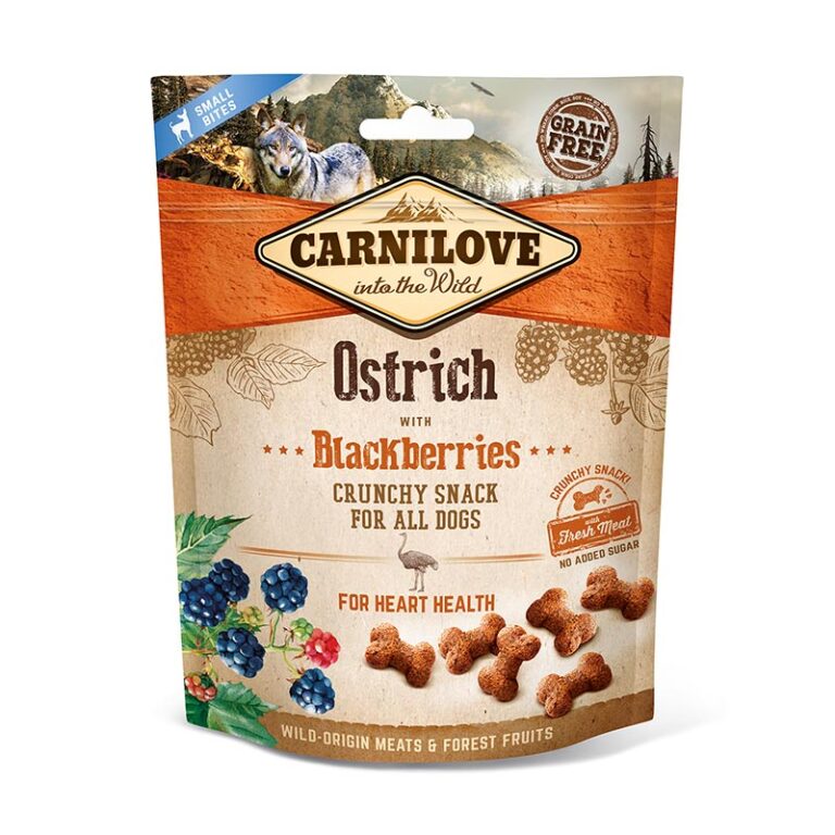 קרנליאב חטיף קראנצ'י יען ואוכמניות 200 גרם