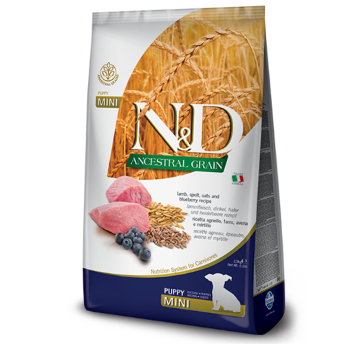 ND פאפי מיני מופחת דגנים כבש ואוכמניות 2.5 ק"ג