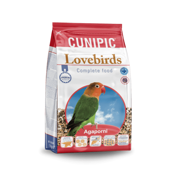 קוניפיק ציפורי אהבה