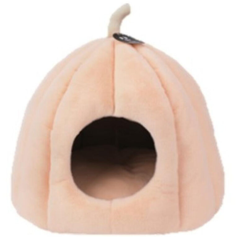 בית דלעת ורוד לחתול