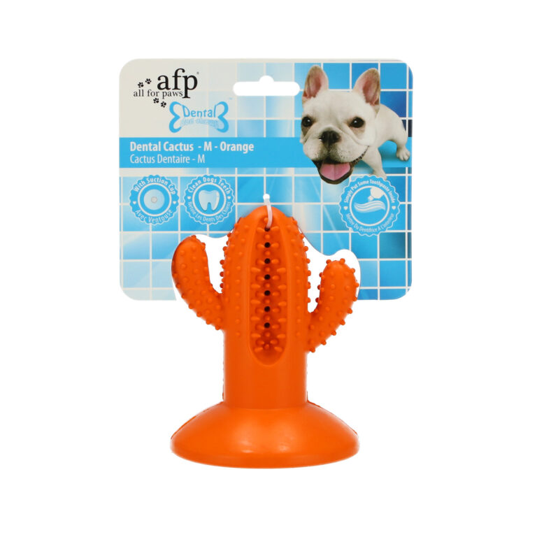 צעצוע קקטוס דנטלי M