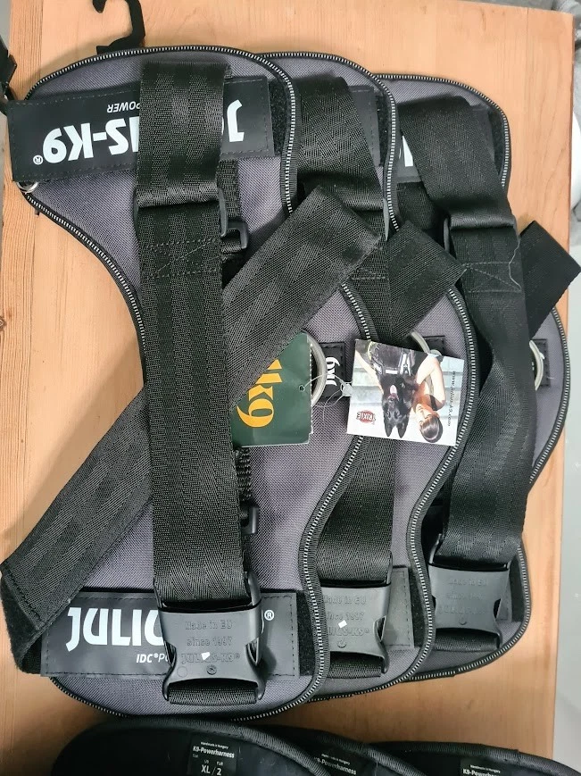 רתמת אילוף גוליוס