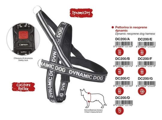 קמון רתמה אילוף שחורה 35 ס"מ