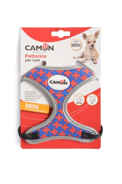 קמון רתמת גוף MINI כחול אדום