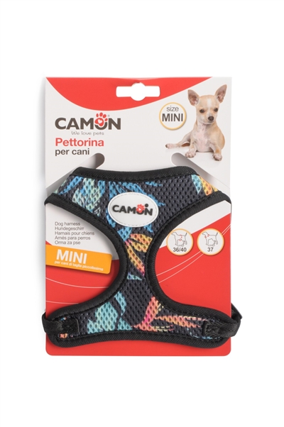 קמון רתמת גוף MINI צבעוני