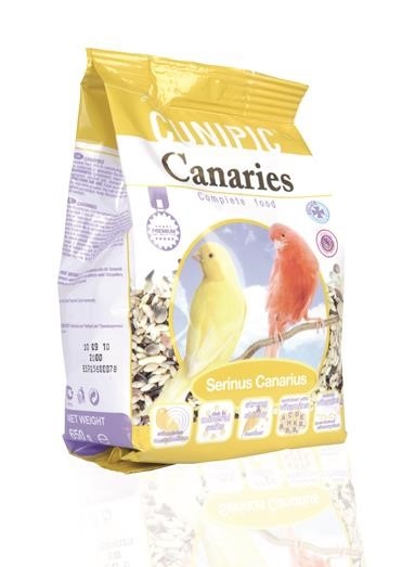 קוניפיק כנרים