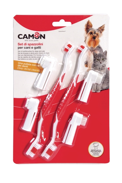 קמון סט מברשות שיניים