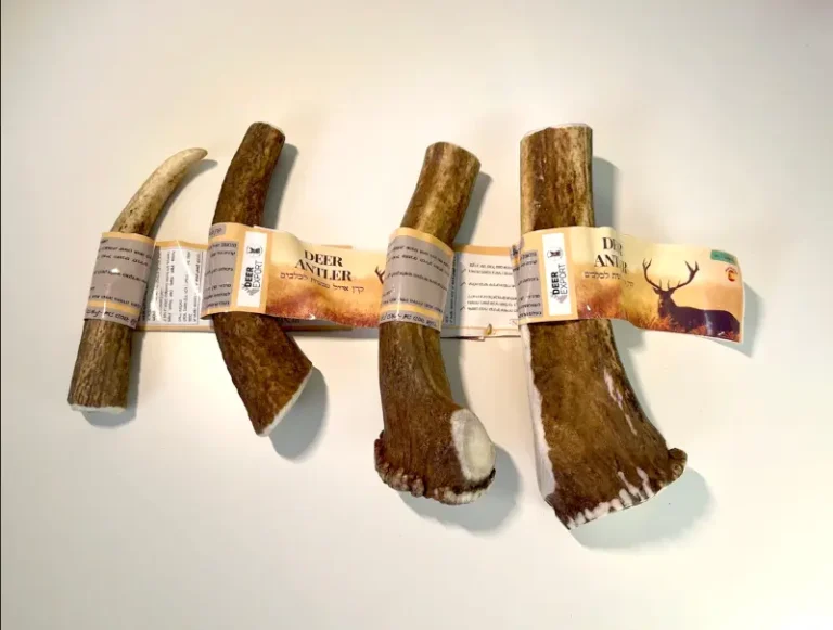 קרן אייל אדום מידה M