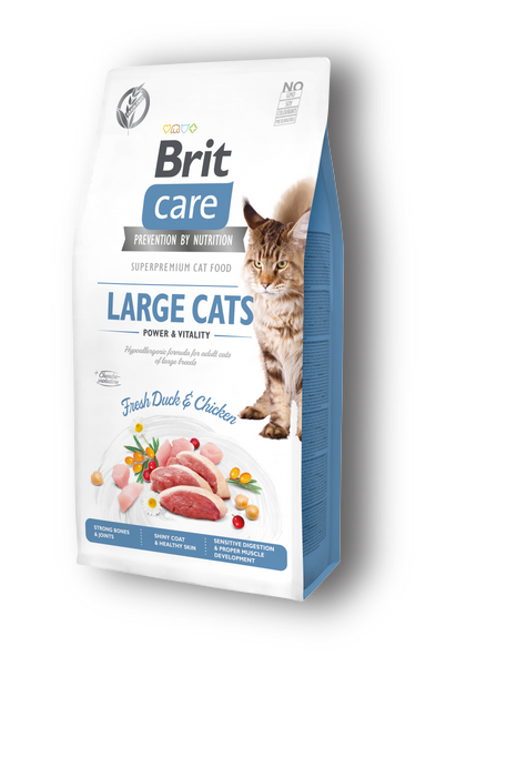 BRIT CARE לחתולים גדולים